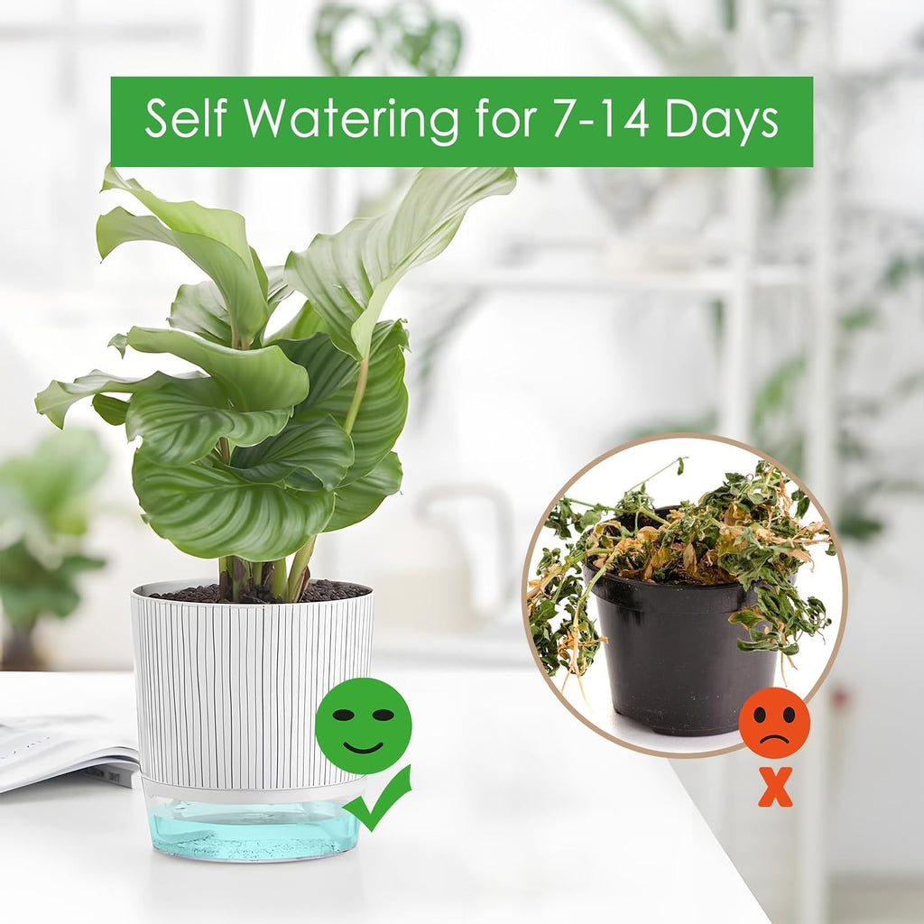 Self-Watering Pots for Indoor Plants with Wick Rope and Reservoir F680303