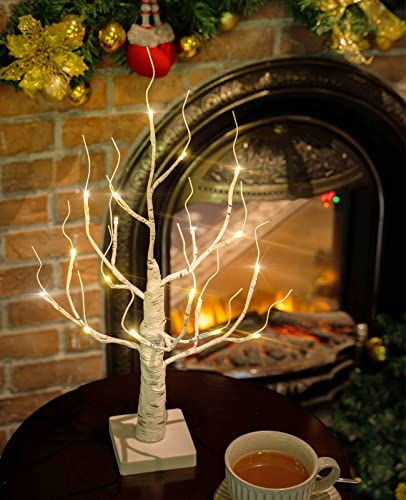 Lighted Birch Tree, 4ft 48LED, Indoor Outdoor Artificial Twig Tree with Timer R4725