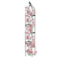 Garden Trellis for Climbing Plants, Rustproof Plant Support Trellis, Rose Bush Round Trellis for Potted Plants Climbing Vine Clematis Outdoor Indoor Garden Obelisk Trellis (White, 1Pack 6ft)