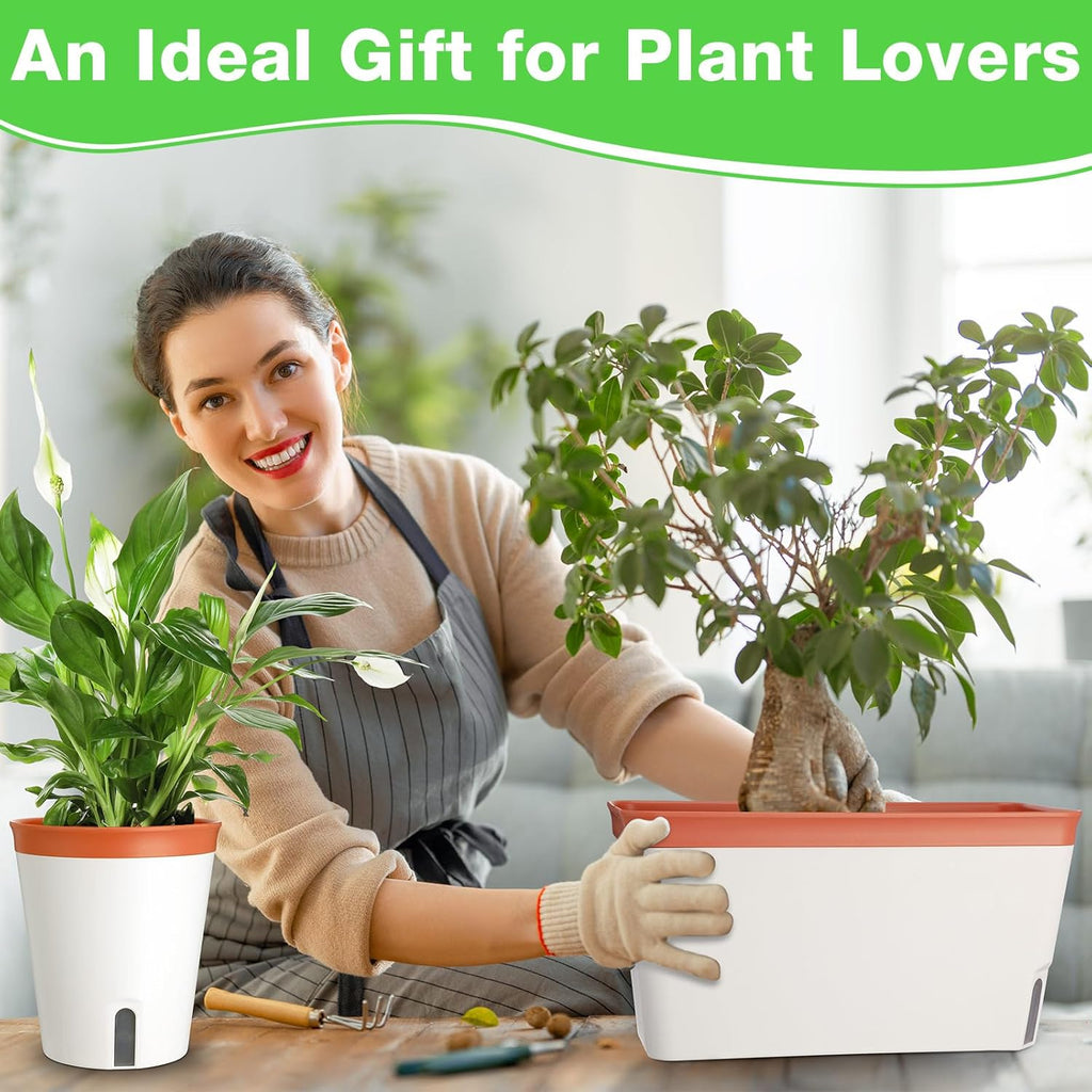 Self Watering Window Planter Box Set for Indoor Plants, Flowers, Succulents V8149