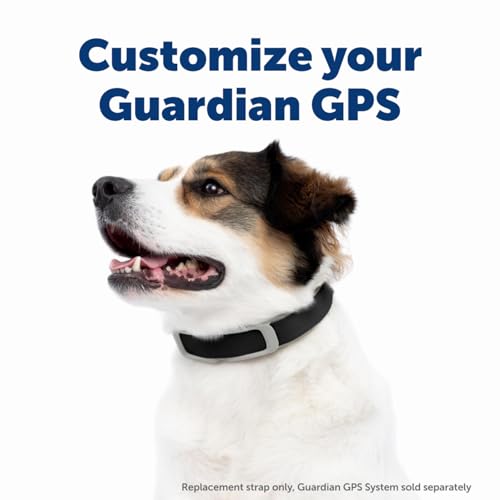 GPS Dog Fence for Yards 3/4 Acres or Larger, Wireless Collar System Y91842