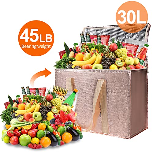 Insulated Food Delivery Bag Hot Cold Meal Carrier Cooler Tote K646948