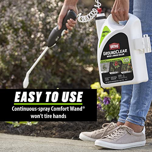 Weed and Grass Killer Concentrate for Landscape Beds, Patios, 32 oz I259