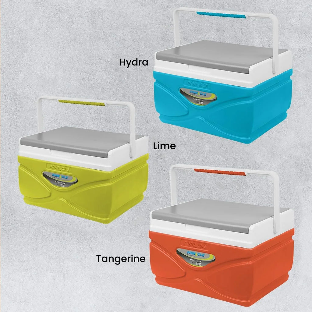 Portable Cooler 4.5 Liter for Picnic Camping Outdoor D406891