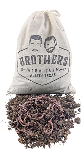 1/2 lb (~500) Red Wiggler Compost Worms for Home Composting and Gardens T98163