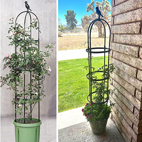 Garden Trellis for Climbing Plants, Rustproof Metal Pipe, 6ft, Indoor Outdoor Plant Support Z650