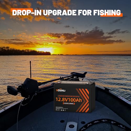 12V 100Ah Group 24 LiFePO4 Battery with 100A BMS, Deep Cycle for RV, Marine, Solar L361