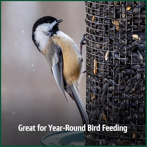 Wild Bird Seed for Outside Feeders, High-Protein, No-Waste, 15-lb Bag F570741