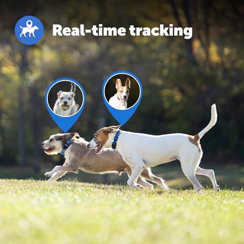 GPS Dog Fence Collar with App Tracking, Waterproof Rechargeable O461899