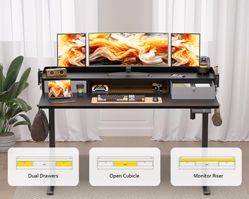Electric Standing Desk with 2 Drawers, Height Adjustable for Home Office B137