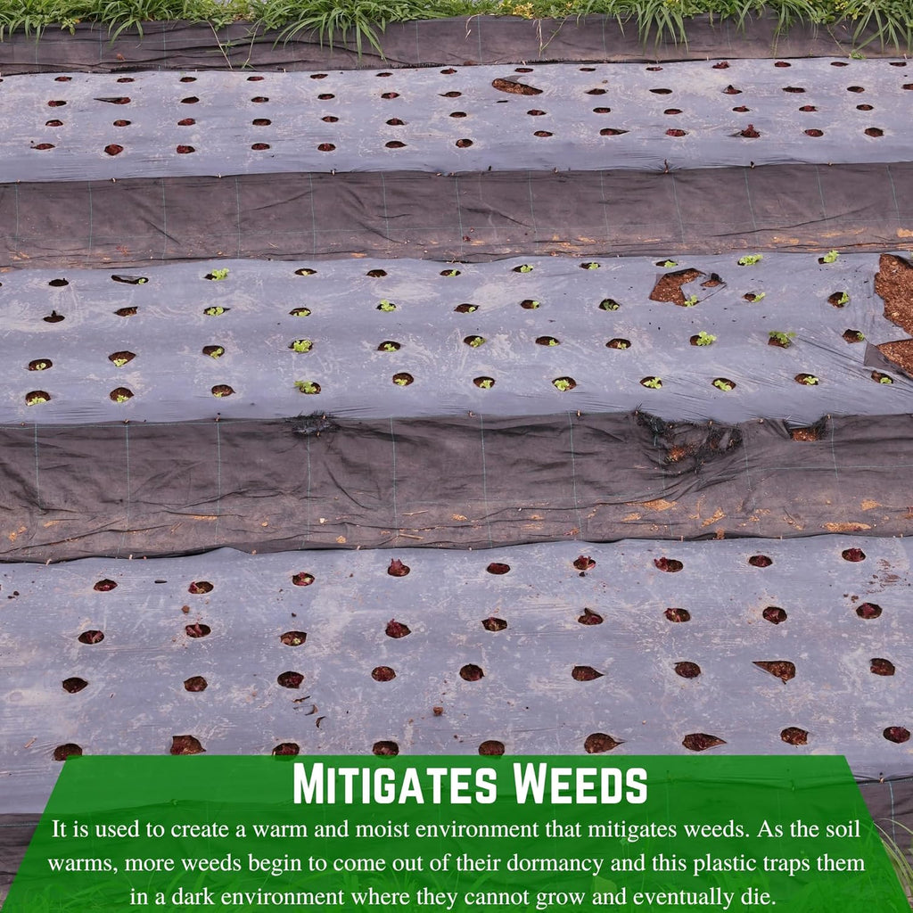 Weed Control 6 Mil Black Plastic Sheeting Heavy Duty Weed Barrier for Outdoor Gardens W88912