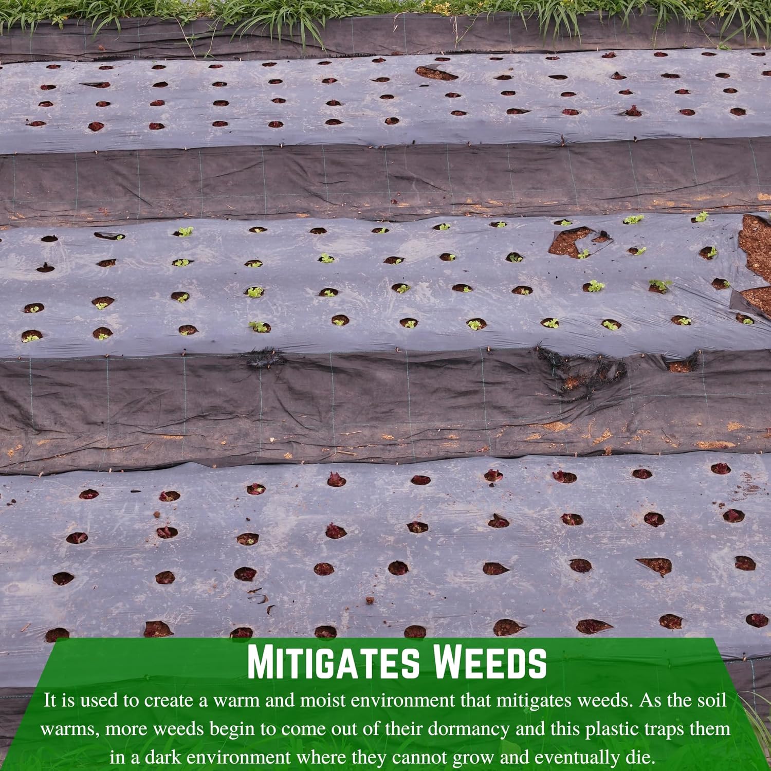 Weed Control 6 Mil Black Plastic Sheeting Heavy Duty Weed Barrier for Outdoor Gardens W88912