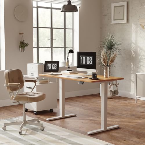 Electric Standing Desk Adjustable Height, 40 x 24 Inch Sit and Stand Desk, Home Office Desk O959