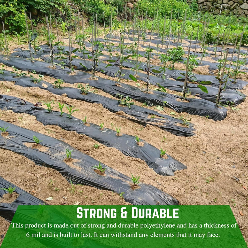 Weed Control 6 Mil Black Plastic Sheeting Heavy Duty Weed Barrier for Outdoor Gardens W88912